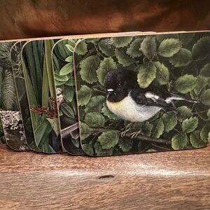 Jason 6 Beautiful Bird Coasters